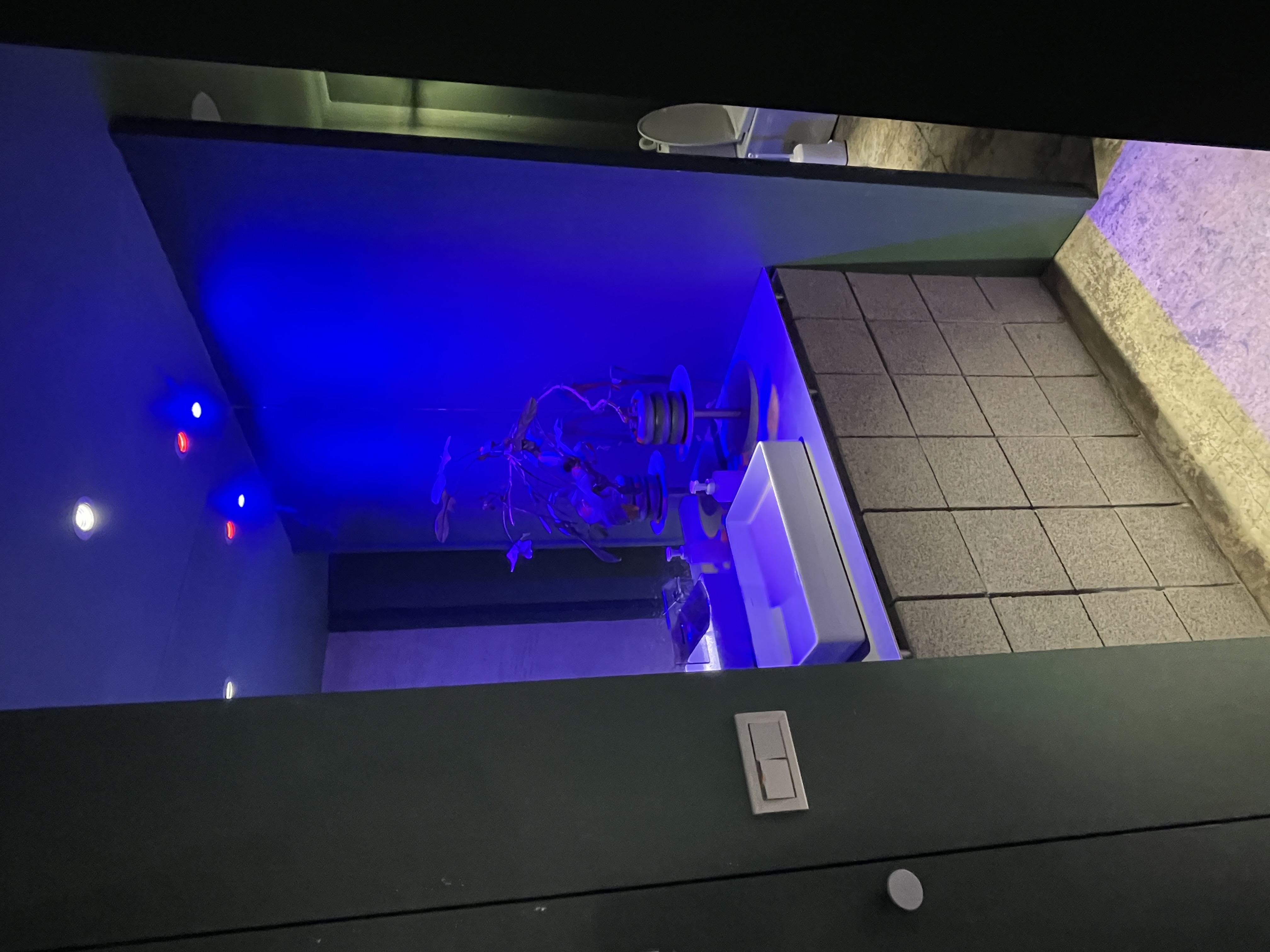 Restroom entrance blue light