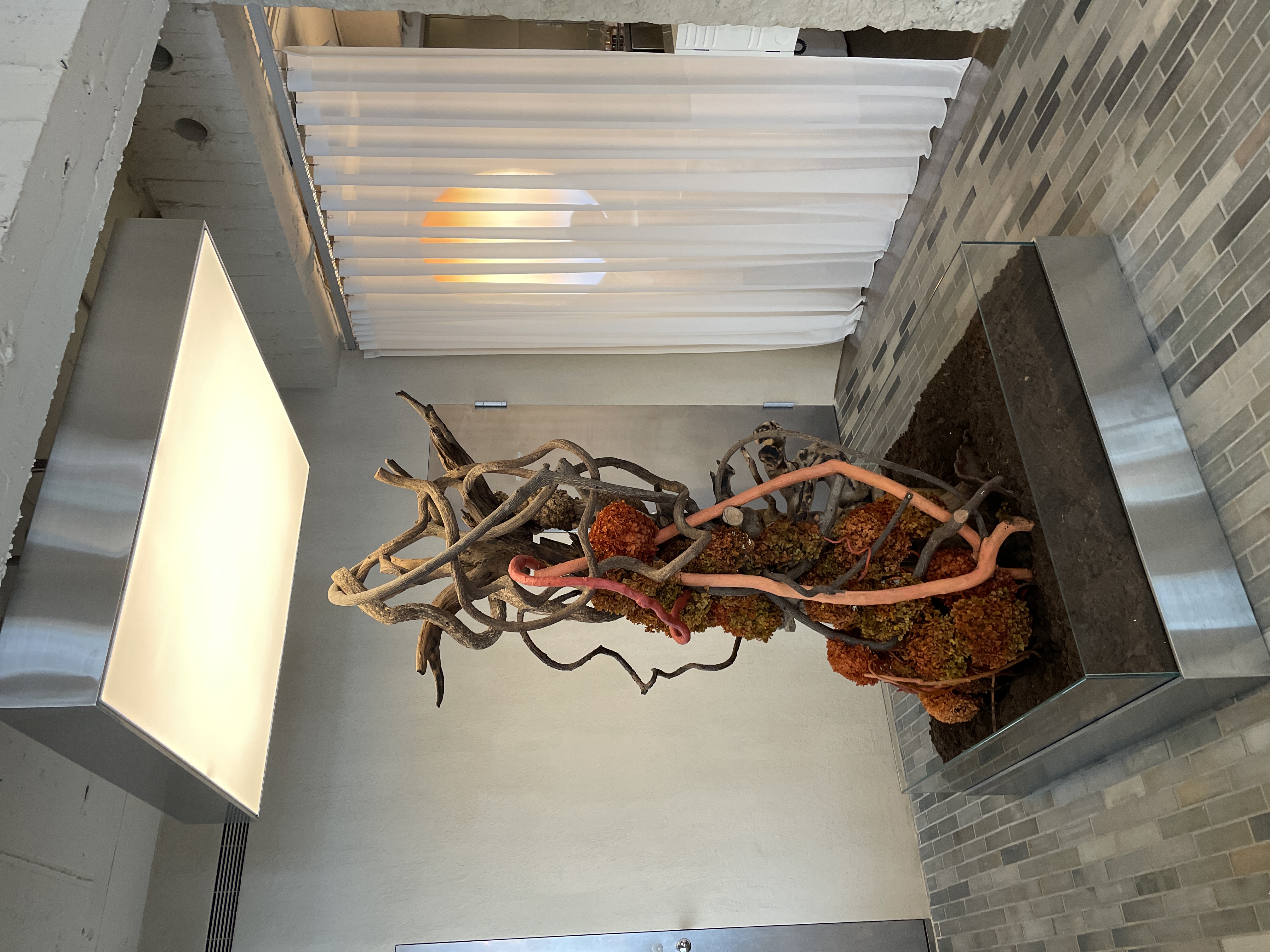 Driftwood installation