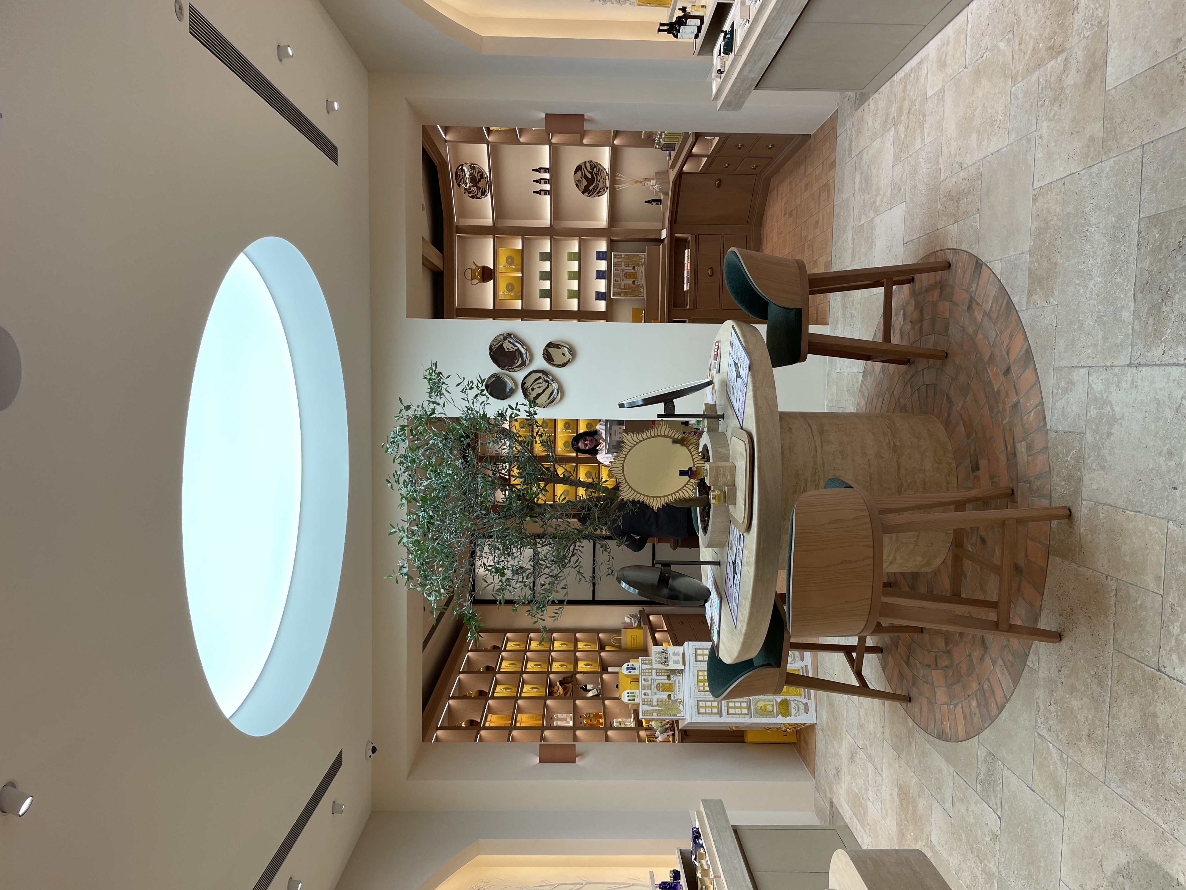 Skylight olive tree