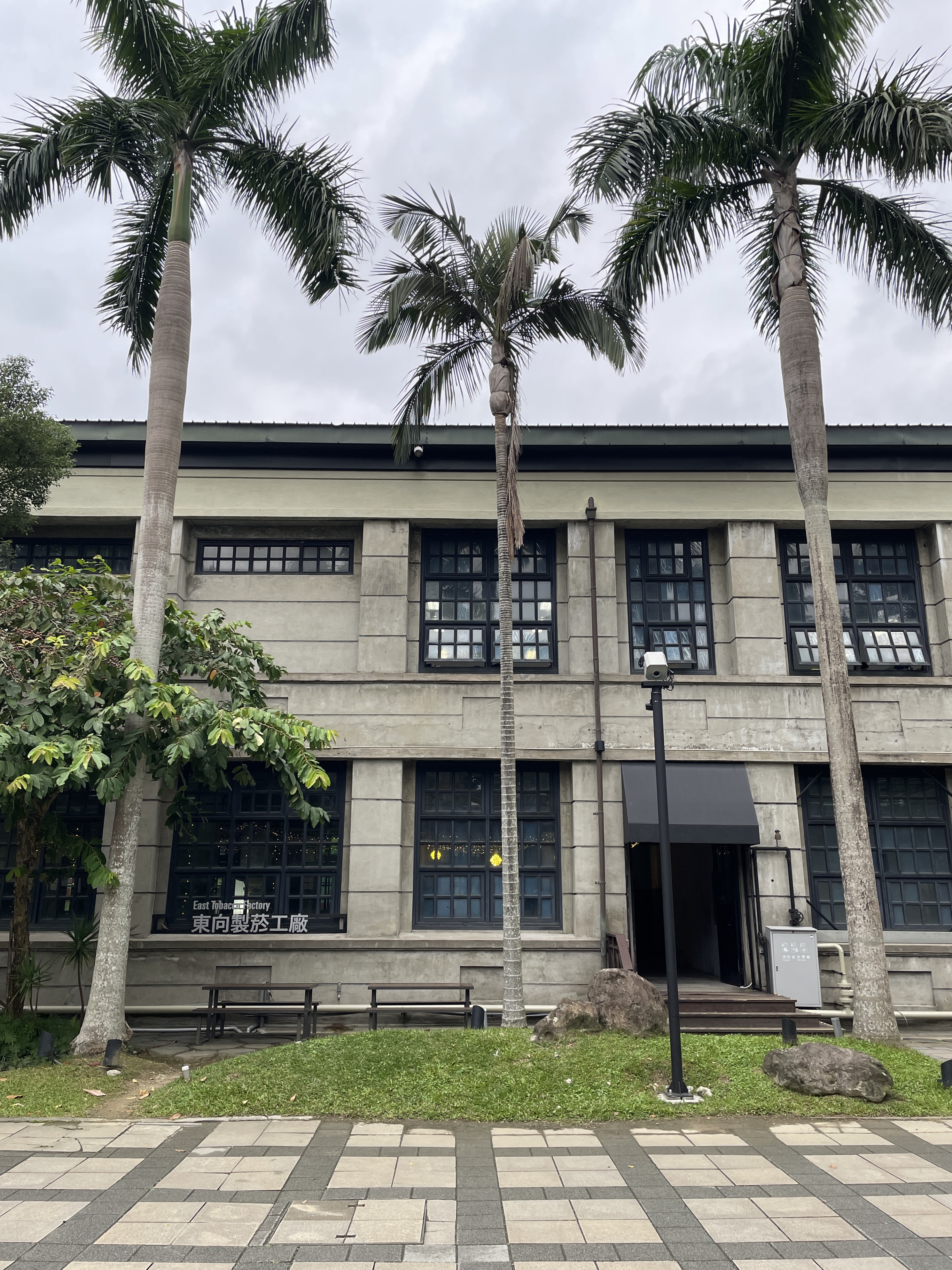 Exterior with palms