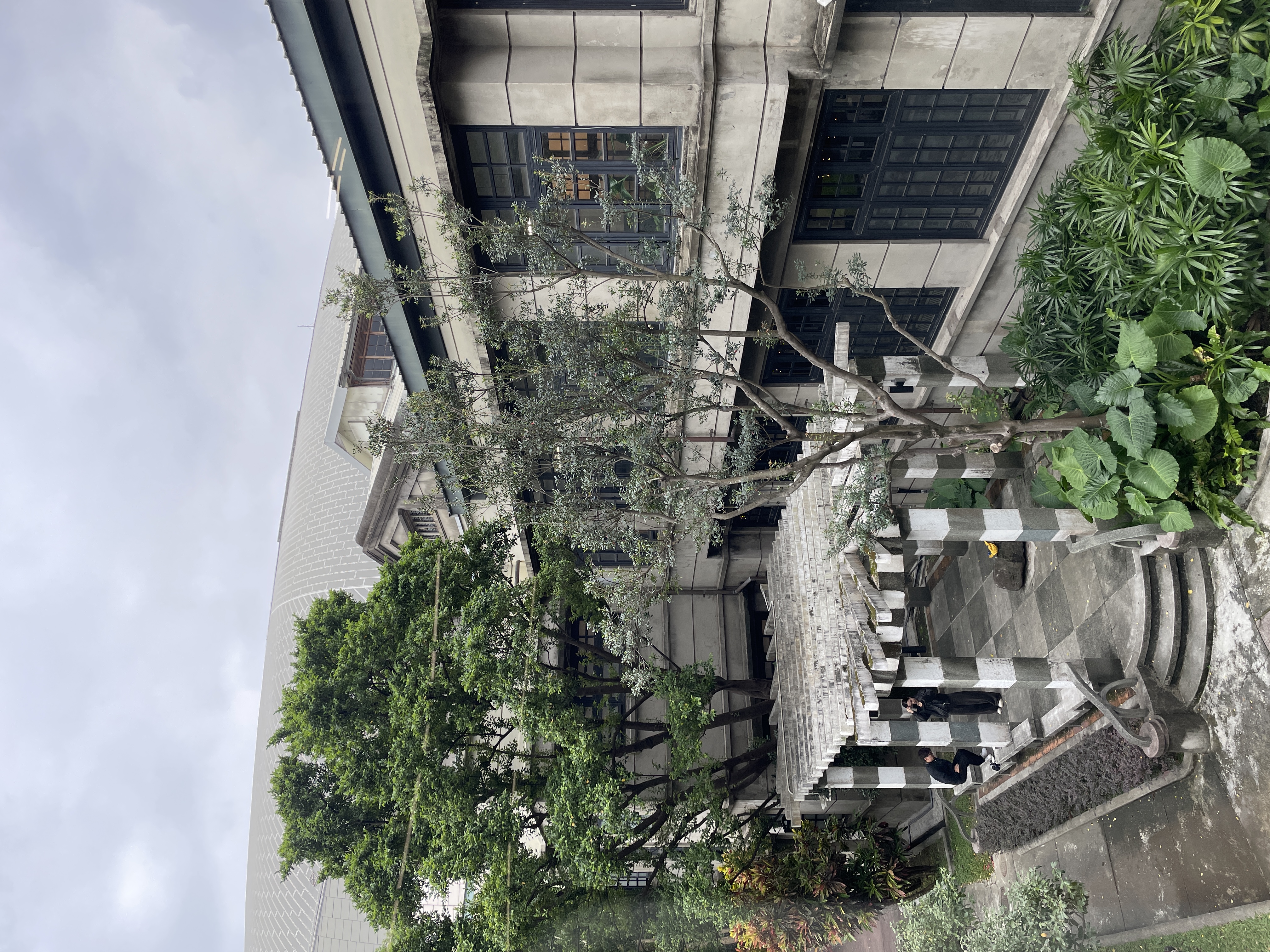 Courtyard stairs and trees