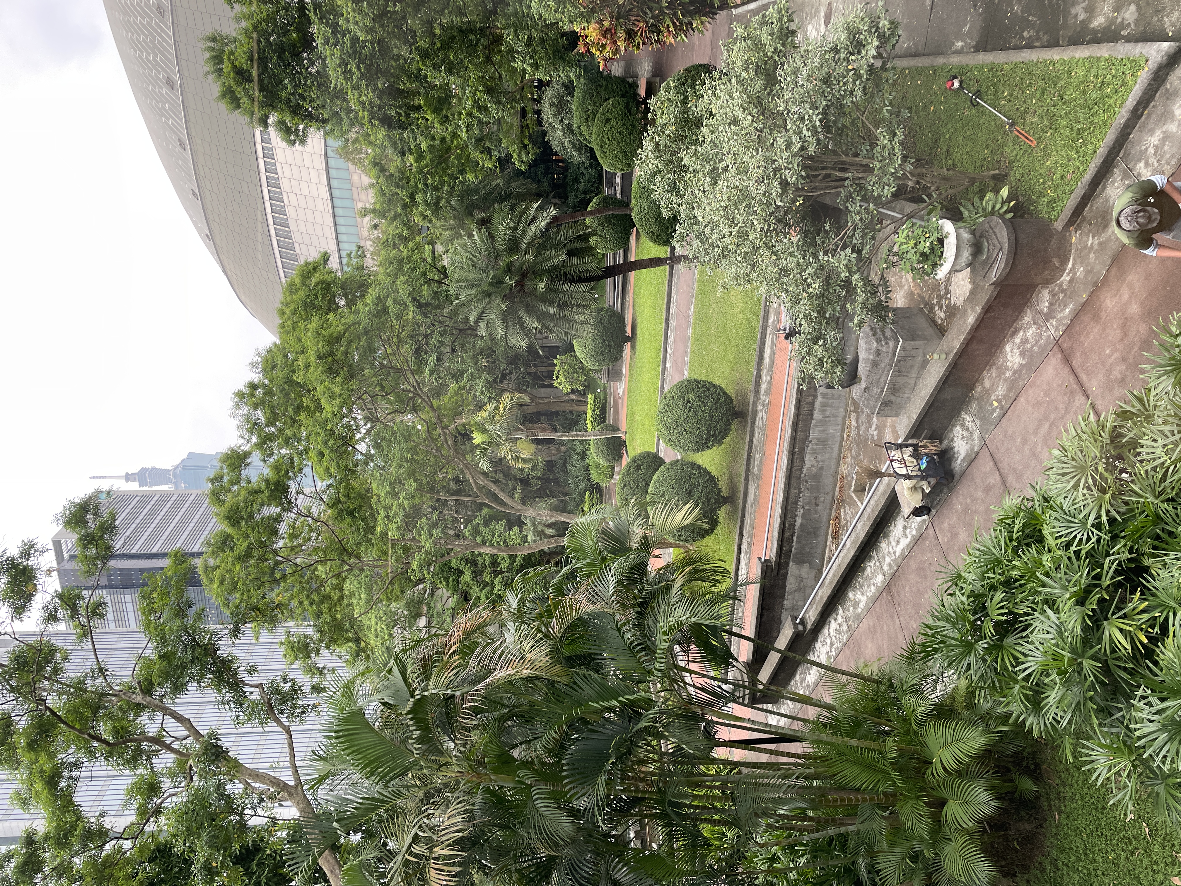 Courtyard landscape