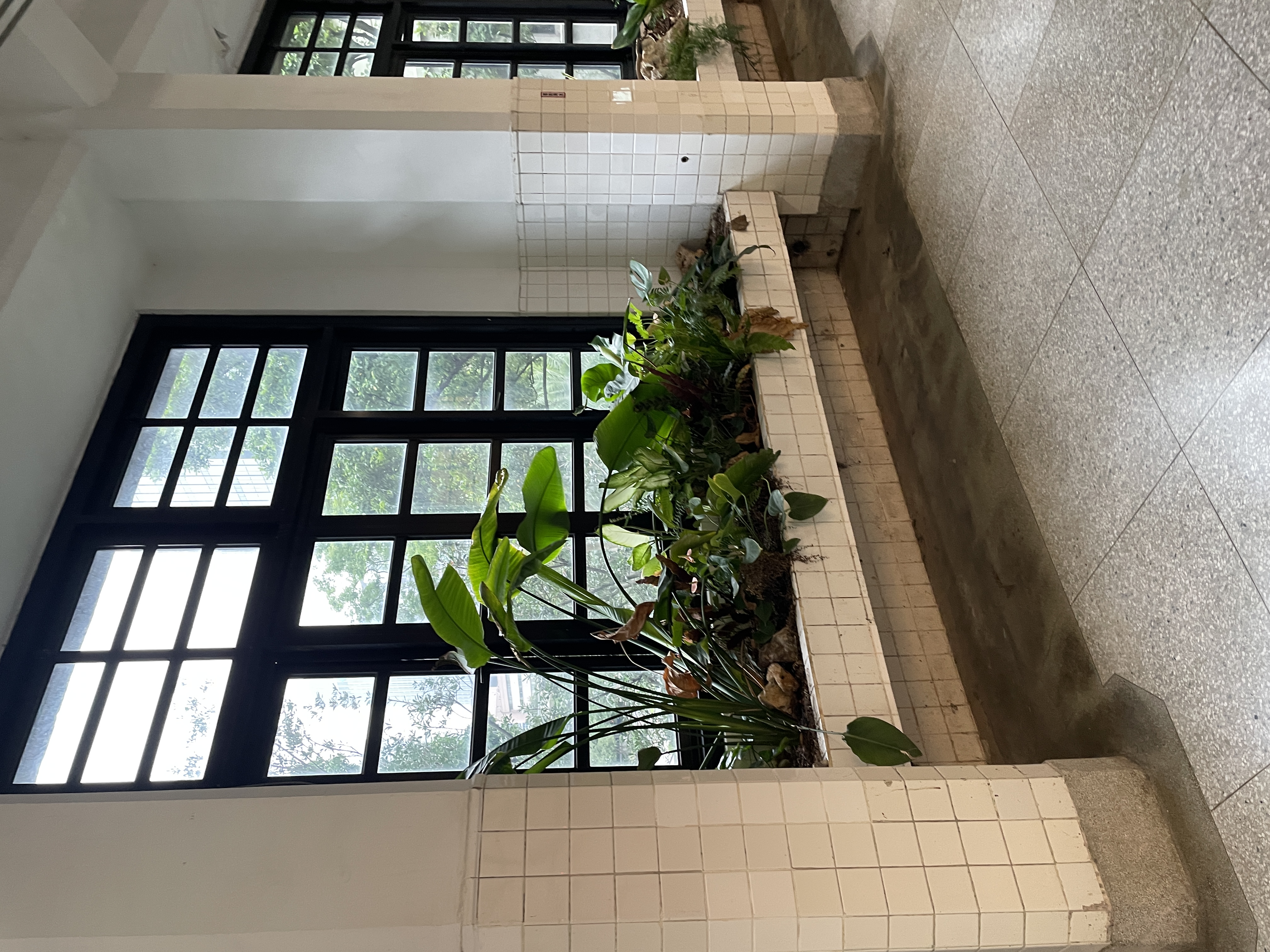 Interior plants grid window