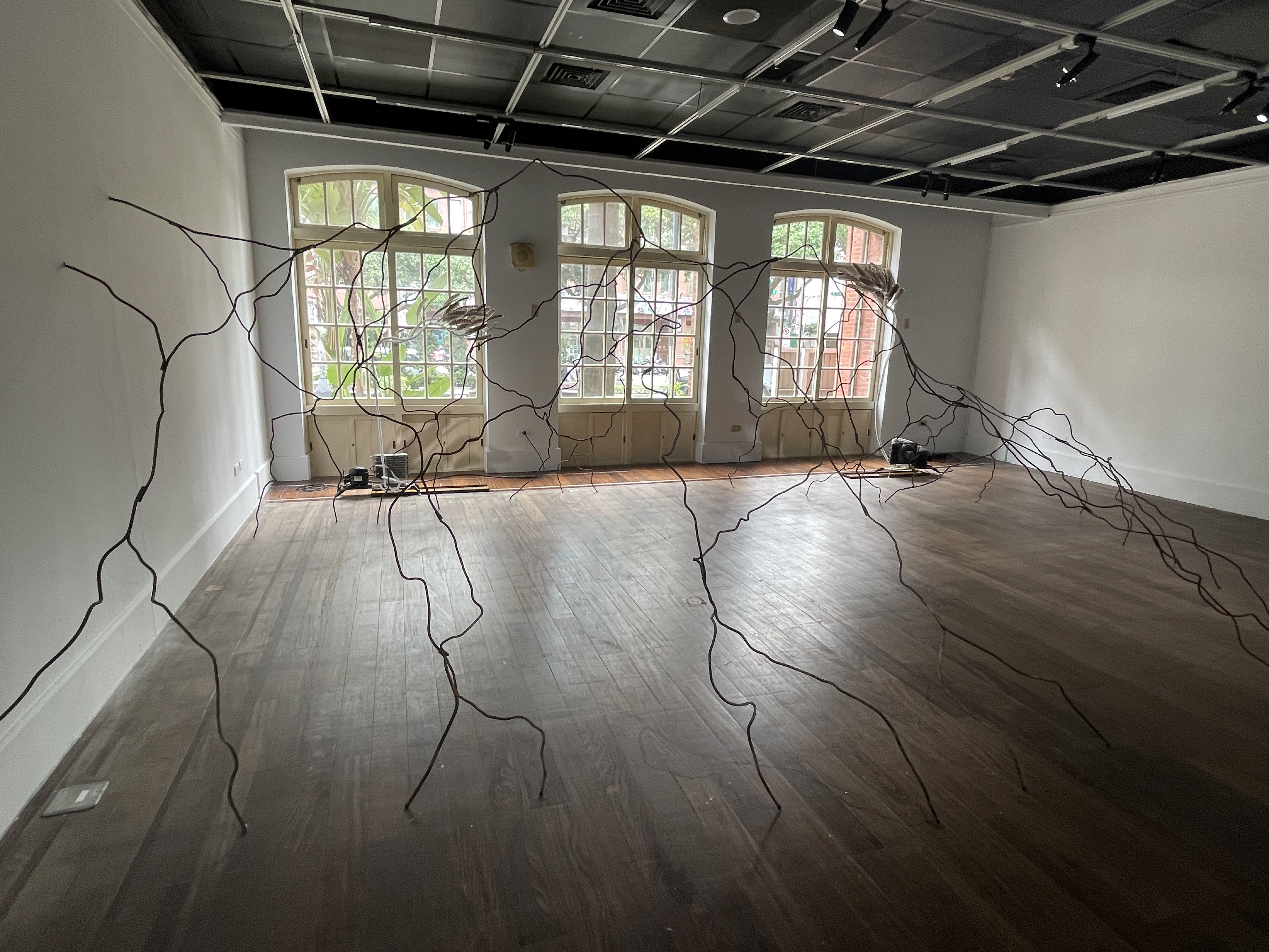 Wire tree arch window